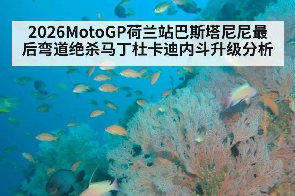 2026MotoGP荷兰站巴斯塔尼尼最后弯道绝杀马丁杜卡迪内斗升级分析