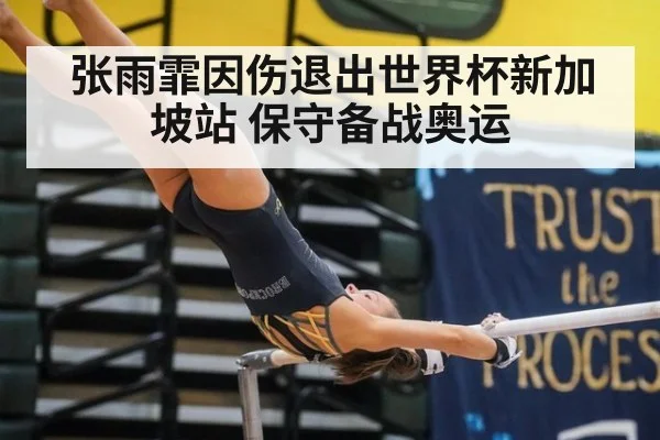 张雨霏因伤退出世界杯新加坡站 保守备战奥运