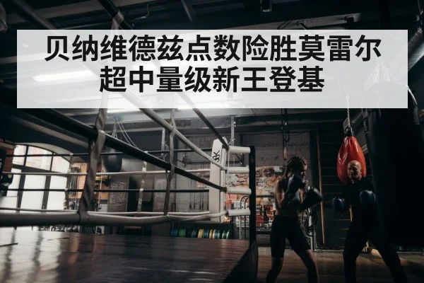 boxer training
