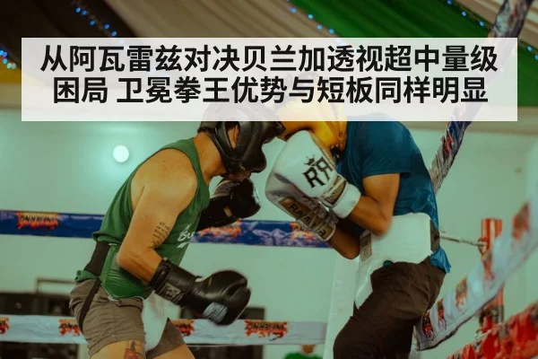 从阿瓦雷兹对决贝兰加透视超中量级困局 卫冕拳王优势与短板同样明显