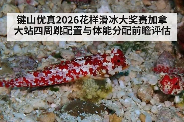 键山优真2026花样滑冰大奖赛加拿大站四周跳配置与体能分配前瞻评估